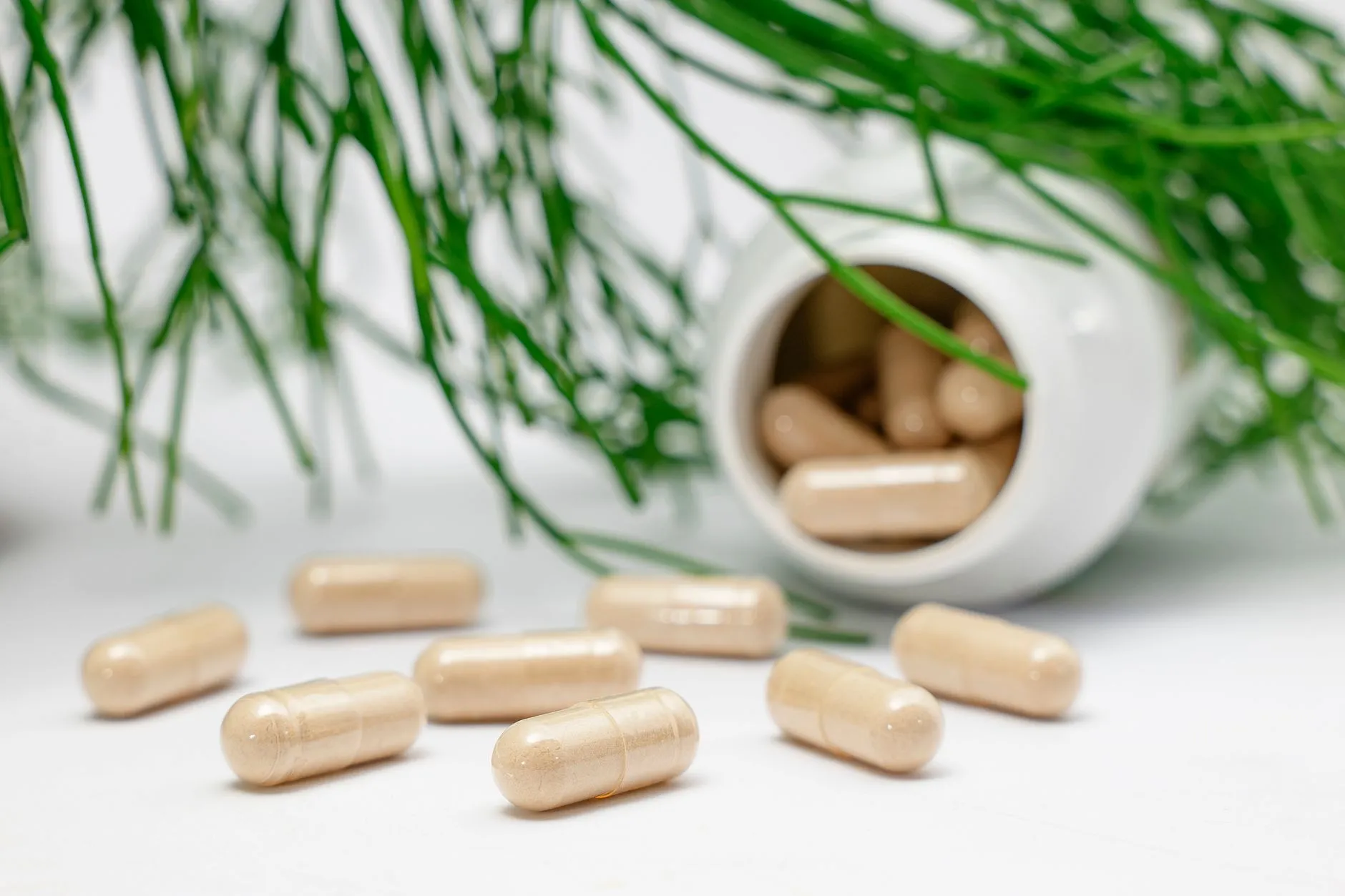 教育培训课程质量管控要点：基于黎璟教育的教学实践