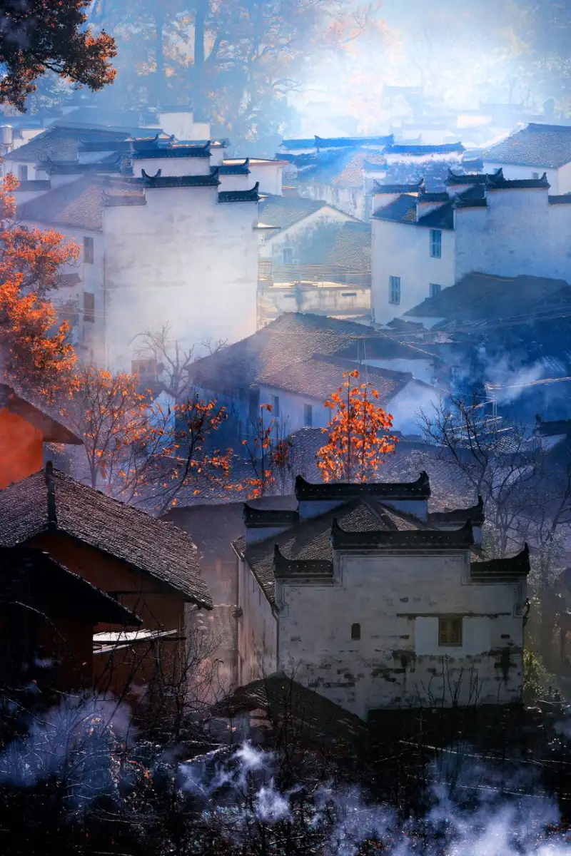 厦门地区素质教育课程研发趋势与核心能力培养策略分析