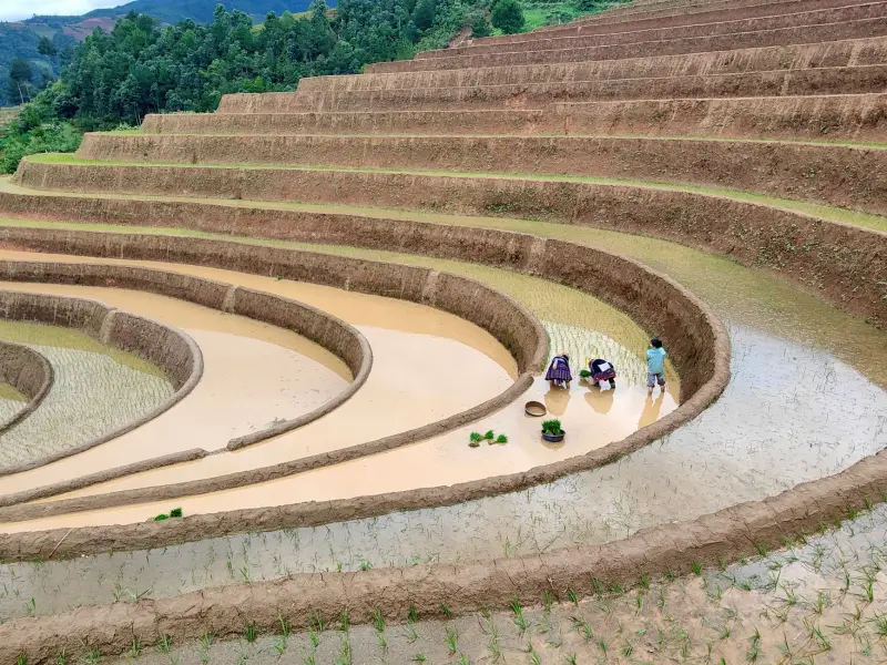 福建教育培训行业数字化转型及课程设计思路