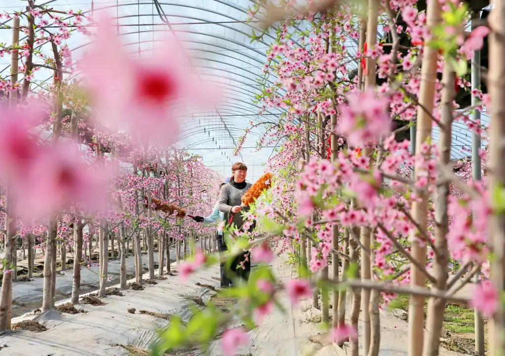 厦门市2025年素质教育课程研发新趋势与教学实践分析
