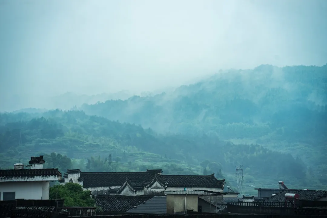 厦门教育行业政策解读：2025年素质教育课程研发新方向