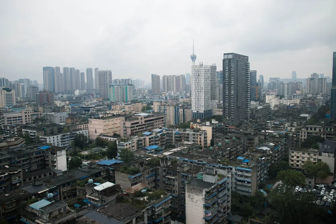 教育培训行业政策调整对厦门地区课程研发方向的影响分析